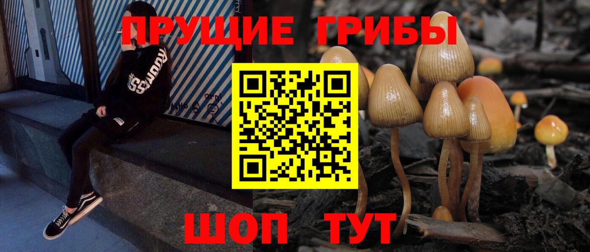 Кашира  Псилоцибиновые грибы мухоморы  Вход с VPN 